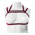 16a13459683c41dcda8fb85f2bee6afc.png